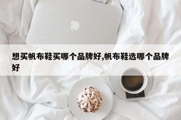 想买帆布鞋买哪个品牌好,帆布鞋选哪个品牌好