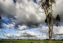 福建晋江运动鞋批发市场有哪些品牌比较好,晋江运动鞋厂哪里最多